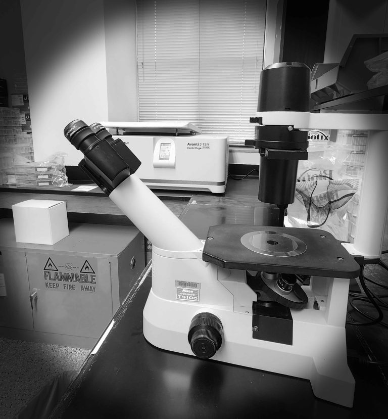 Microscope 2